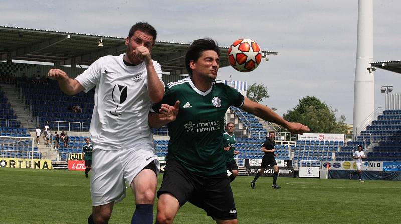 Tým FC Vinaři České republiky (bílé dresy) se dostal na domácím mistrovství Evropy ve fotbale až do finále, když Německo porazil na penalty.