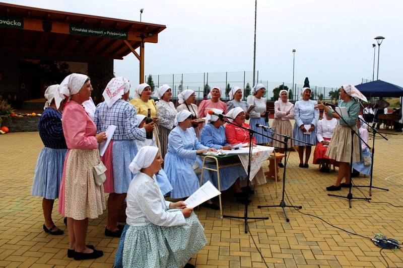 Návštěvníci VI. ročníku TOP víno Slovácka se v sobotu na hřišti u školy rozhodně nenudili.