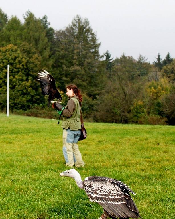 Přes sto let stará hájenka se dočkala výrazného omlazení. Slavnostně byla otevřena v pátek 24. října. Poté se uskutečnily ukázkové lety dravých opeřenců a přednášky na téma Lovecká hudba. 