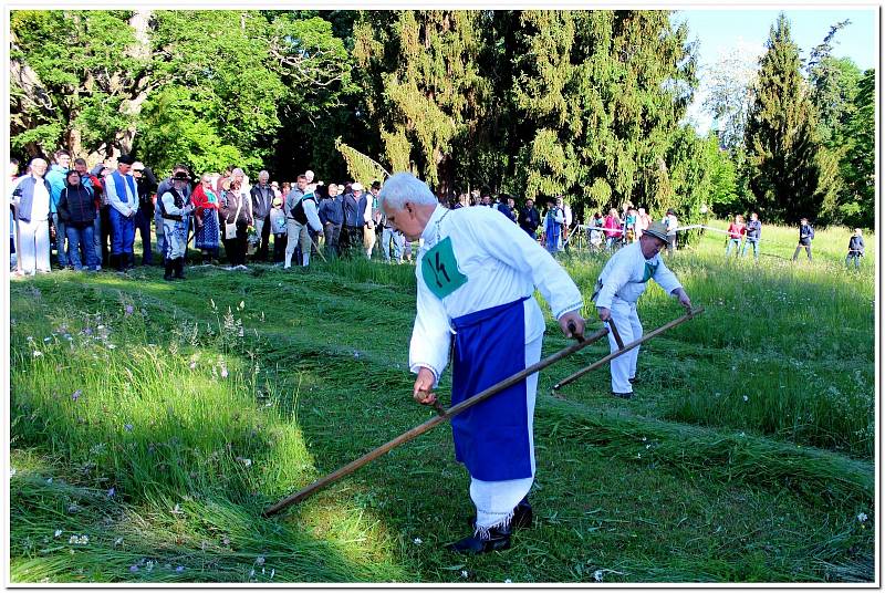 Při XXV. Koseckých písních v Buchlovicích soutěžili i sekáči i sekáčky trávy