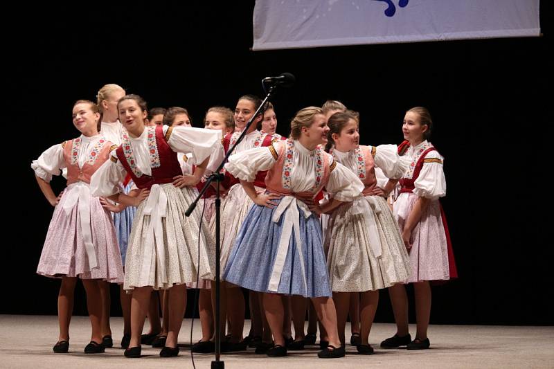 Ve Velkém sále Kulturního domu Uherský Brod se v sobotu večer oslavovalo výročí dětského folklorního souboru Holúbek řadou vystoupení.