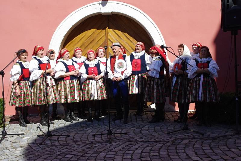 Slovácké slavnosti vína v Uherském Hradišti, 2013, mikroregion Uherský Brod.