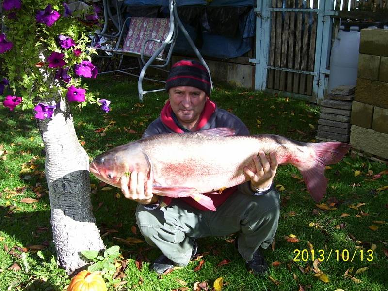 Soutěžící číslo 179 - Bohumil Slovák, tolstolobik, 98 cm, 14 kg.