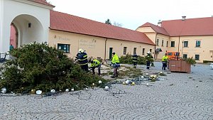 Poryvu větru neodolal a skácel se k zemi krajský vítěz ankety nejkrásnější vánoční strom v Uherském Ostrohu