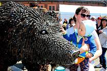 V Kovozoo Staré Město oslavili Den Země křtem medvědice kodiaka jménem Berta