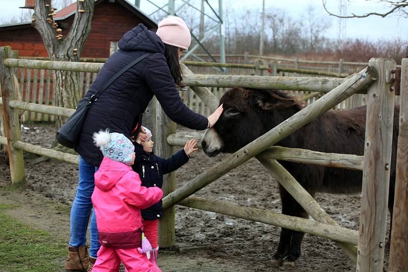 Minizoo ve Starém městě.