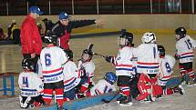 Velká radost ze hry byla vidět na všech malých hokejistech, kteří se v sobotu 18. listopadu zúčastnili v Uherském Hradišti turnaje 2. tříd. Domácím Hradišťanům se dařilo, s Brumovem a Uherským Ostrohem vyhráli všechny čtyři zápasy. (ms)