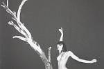 Vernisáží v Turistickém centru Velehrad odstartovala výstava Eva a ovoce poznání. Na snímku fotografický ženský akt Zdeňka Polišenského.