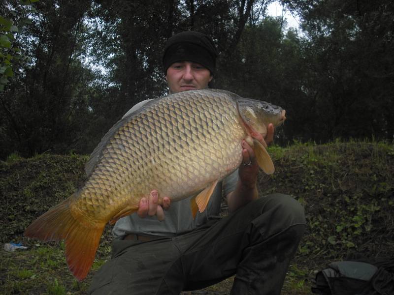 Soutěžní číslo 135 - David Šperlík, kapr, 86 cm a nevážen.