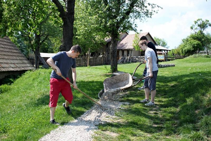 Studenti 3. ročníku Stojanova gymnázia přiložili ruce k dílu ve skanzenu i v biocentru Modrá. 