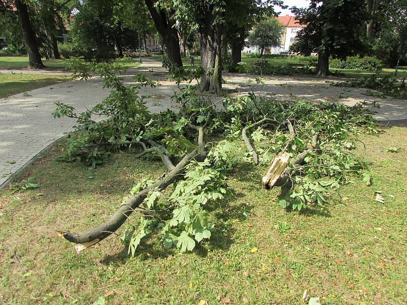 Následky bouřky z noci na pátek 11. 8. 2017 ve Smetanových sadech