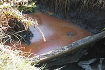 Hasiči v sobotu 1. října likvidovali nebezpečnou látku v havřickém potoku.