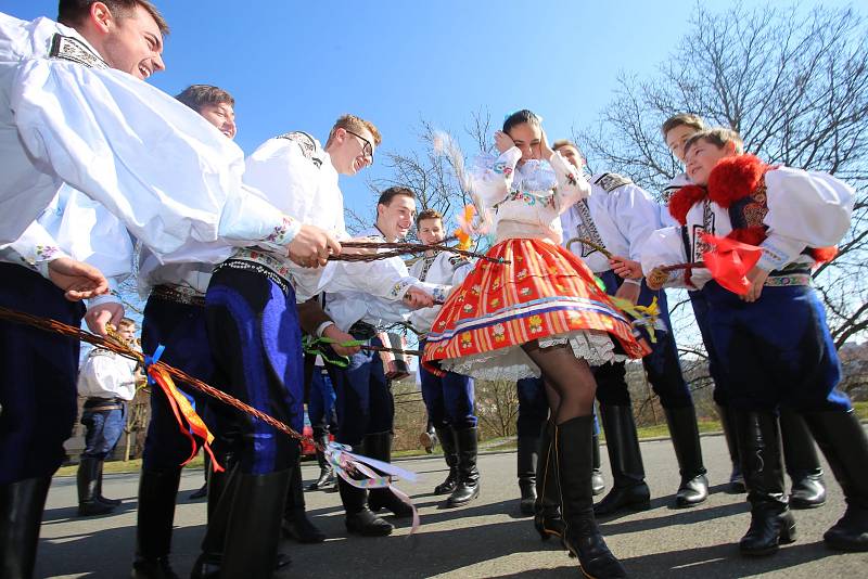 Velikonoční obchůzka   družiny  Vlčnovského  krále  Martina Dareka Franty ve Vlčnově.U Barbory Tomaštíkové.