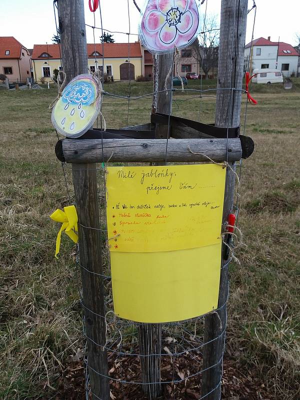 Děti z velehradské mateřinky jablůňky v roce 2019 sadily a nyní je kresbičkami ozdobily.