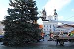 Instalace vánočního stromu v Uherském Hradišti, 25.11. 2023