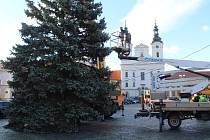 Instalace vánočního stromu v Uherském Hradišti, 25.11. 2023