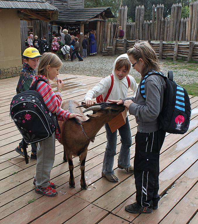 Děti mohly ve skanzenu obdivovat volně pobíhající domácí zvířata.