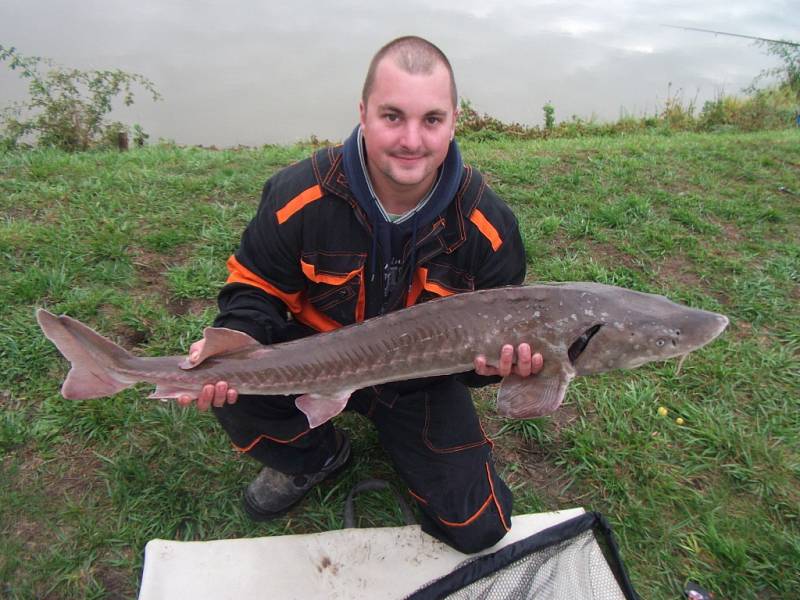 Soutěžní číslo 97 – Michal Paluska, jeseter, 120 cm, nevážen.