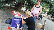 Účastníci pietní akce v Uherském Hradišti v pátek 3. června chtěli upozornit na některá úskalí, spojená s dětským očkováním.