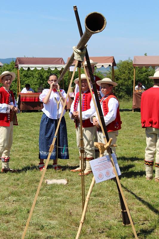 Dny slovanské kultury v Rochus parku. Účinkující folkloristé přijeli z Polska i Chorvatska. Došlo i na mezinárodní kácení májky.