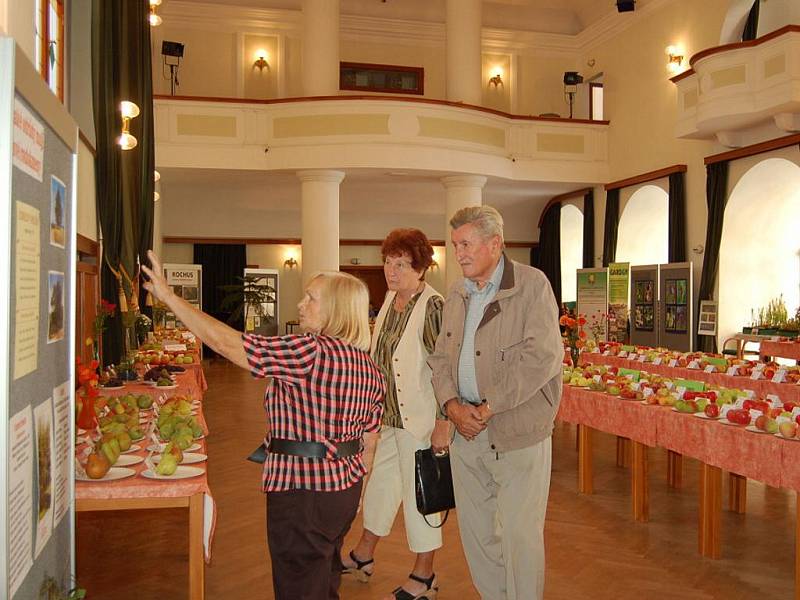 Výstava ovoce a zeleniny v uherskohradišťské Redutě.
