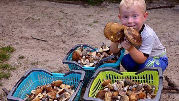 Do chřibských lesů doporučuje v těchto dnech udělat si výlet Ludvík Lečbych z Hluku.