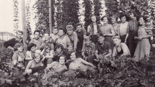 Chmelová brigáda studentů z Uherského Hradiště v roce 1955.