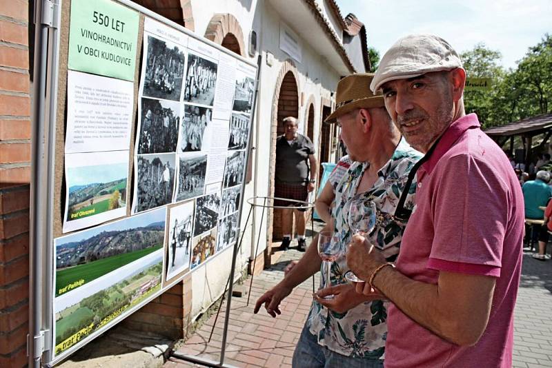 Kudlovický vinný žleb 2016