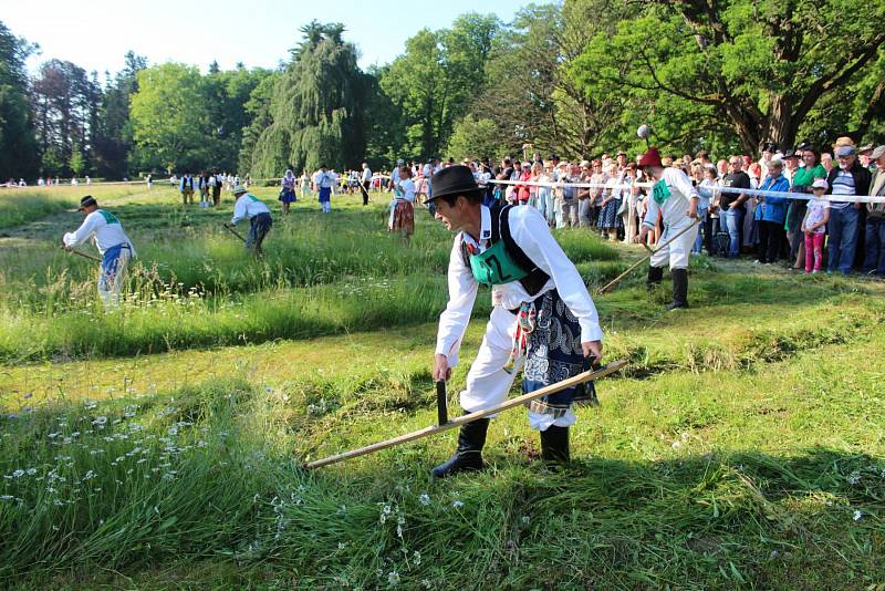 SEKÁČSKÉ KLÁNÍ. Kosecké písně se staly v Buchlovicích železnou košilí.