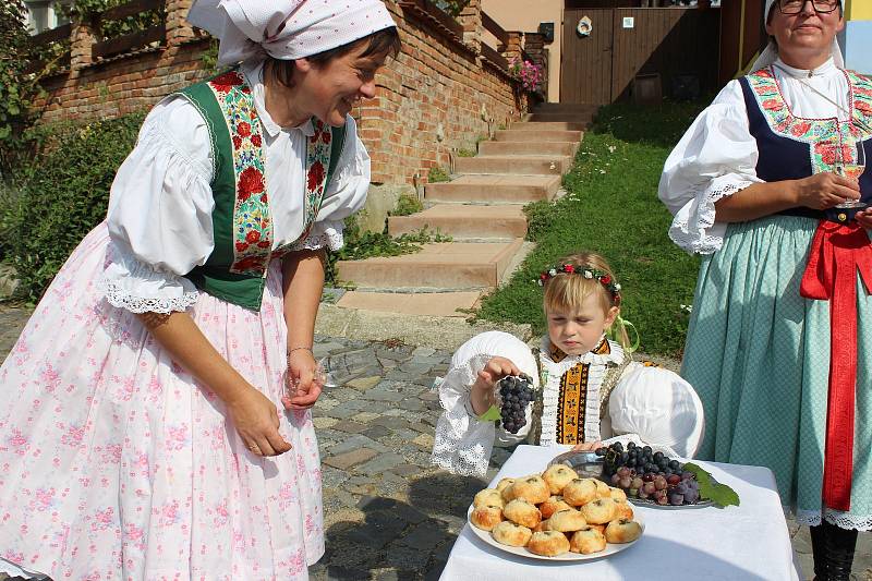 Vinobraní v Modré 2018