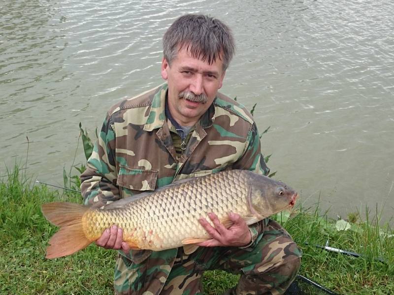 Soutěžní číslo 13 – Stanislav Kollár, kapr, 82 cm, nevážen, chycen v Huštěnovicích.