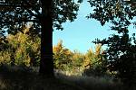 Přírodní rezervace Holý kopec na podzim.