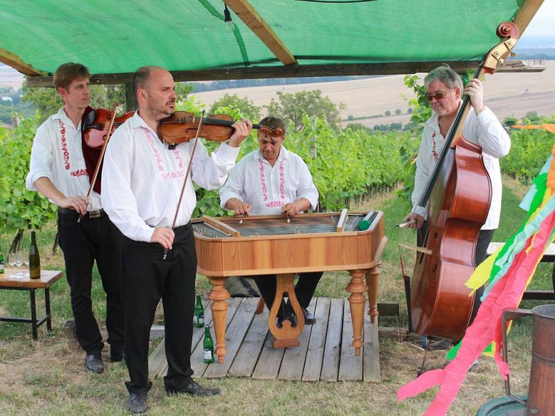 Borový kůl od soboty značí uzamknutý vinohrad v Polešovicích.