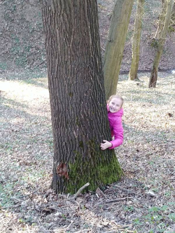 Děti posílaly v době dálkové výuky do školy fotopozdravy.