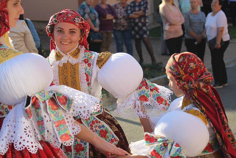 Hody v Mistřicích letos výjimečně postrádali mladší i starší stárky. Naopak se sešla početná chasa čítající jednadvacet párů.