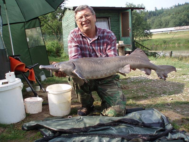 Soutěžní číslo 61 - Jaroslav Hodonský, jeseter, 119 cm, 15,5 kg.