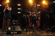 Kapela Sto zvířat ve středu večer zahrála v uherskohradiš­ťských Smetanových sadech. Právě letos muzikanti slaví dvacet let existence kapely.
