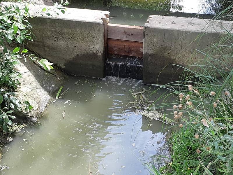 Povolené stavidlo umožnilo znečištěné vodě, aby se dostala do oblíbeného jezera pro koupaní na staroměstských Loukách.