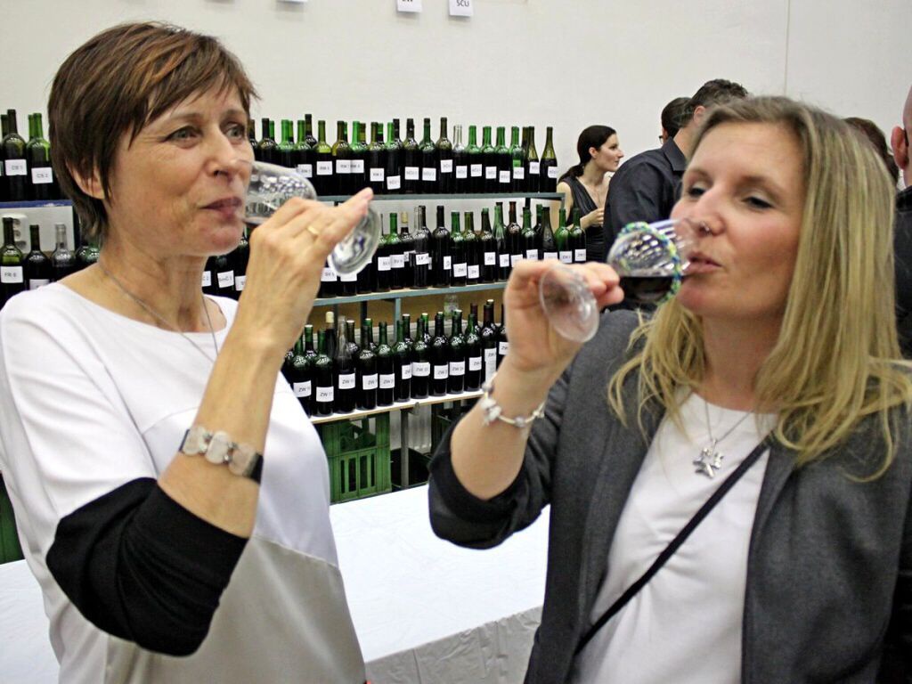 Košt vína v Sadech nabídl 506 vzorků i dvě řízené degustace - Slovácký deník