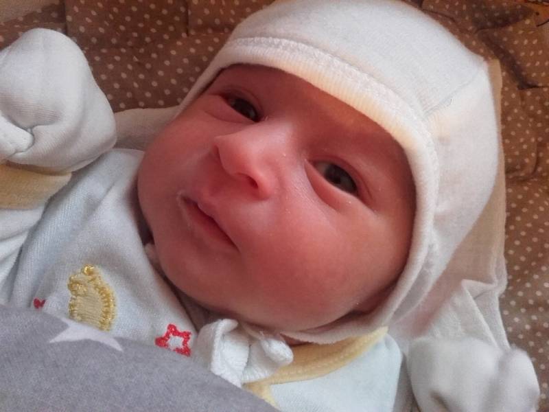 Andreas Pelisek, 3920 g, 52 cm, 9. 12. 2015, Uherské Hradiště