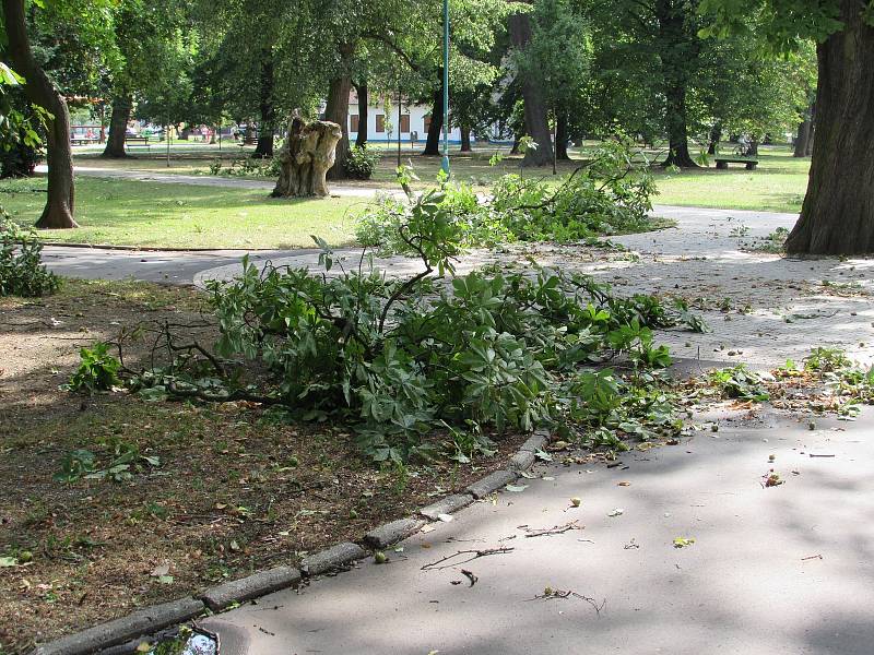 Následky bouřky z noci na pátek 11. 8. 2017 ve Smetanových sadech