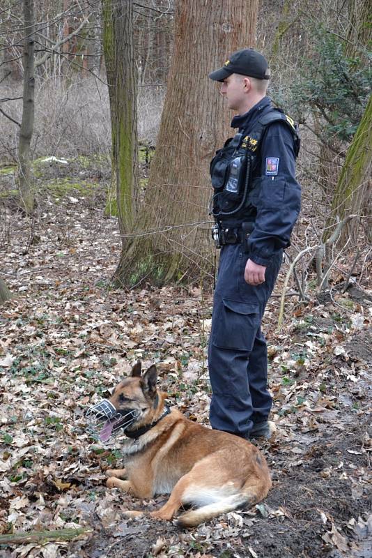 Po Elišce z Vlčnova pátrají desítky policistů a hasičů.