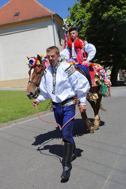 Jízda králů 2017 ve Vlčnově