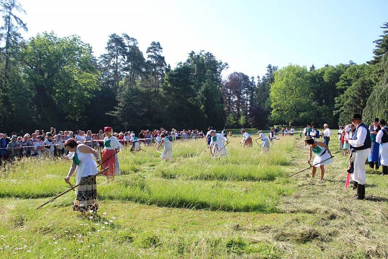 SEKÁČSKÉ KLÁNÍ. Kosecké písně se staly v Buchlovicích železnou košilí.