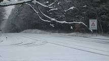 Silnice 1. třídy u Nového Dvora (Rasové) byla v sobotu pokryta několikacentimetrovu sněhovou pokrývkou.