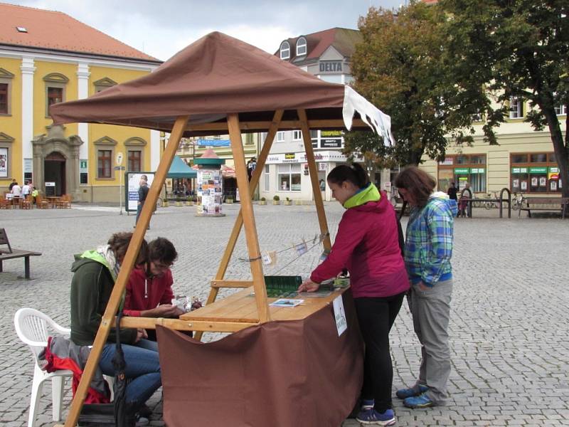 Přesvědčit také obyvatele Slovácka o ekologičtějším přístupu ke svému okolí, se v pondělí 22. září snažili organizátoři Evropského dne bez aut na Masarykově náměstí v Uherském Hradišti.