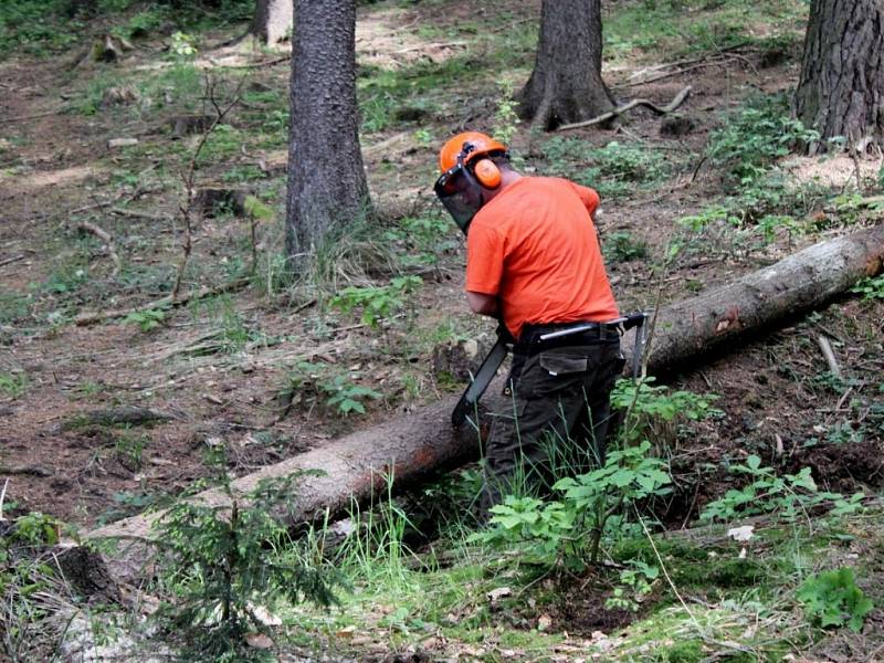 DEN S LESÁKY. Osmého ročníku Dne s Lesy ČR se zúčastnilo 168 žáků z šesti základních škol v okruhu působnosti Lesní správy Buchlovice.