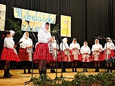 16. ročníku Mikulášského zpívání se v Nedakonicích zúčastnila bezmála stovka zpěváků a zpěvaček. 