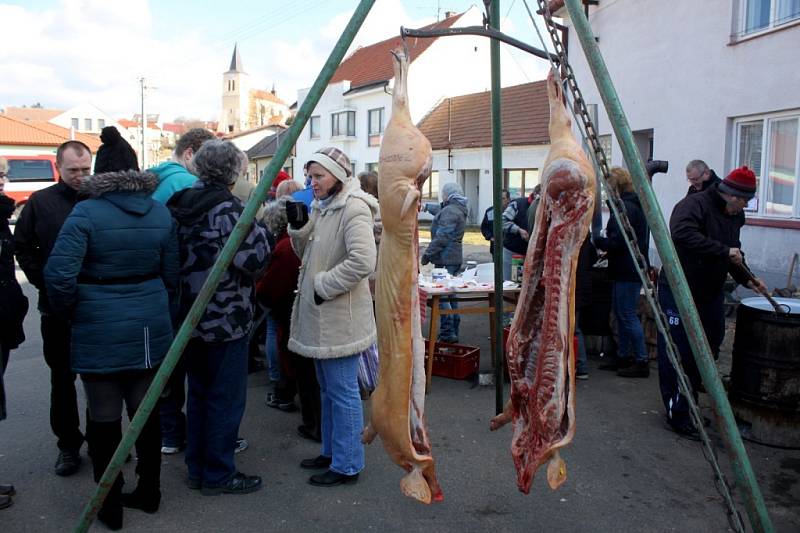 V Boršicích vypukl v sobotu v 7 hodin ráno sedmý ročník fašanku. A bylo se na co dívat a z čeho se radovat.