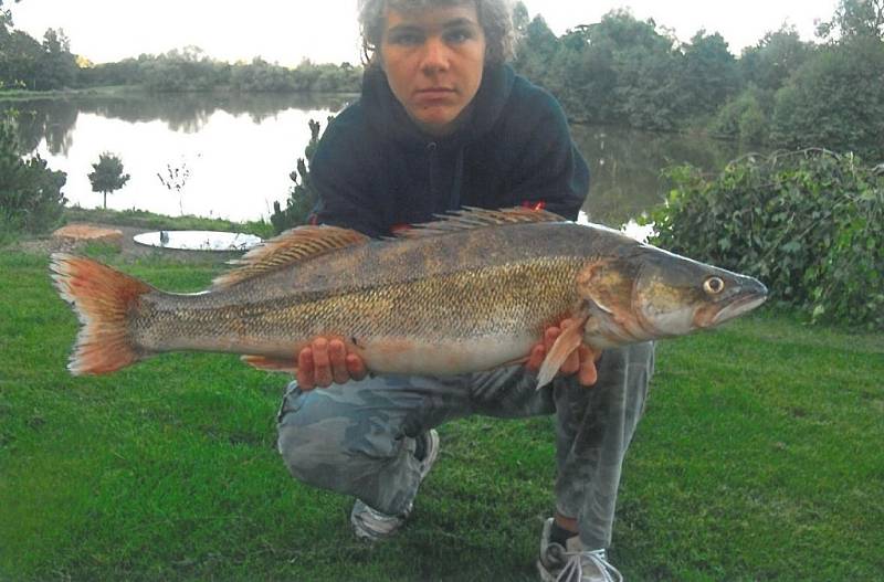 Lukáš Kreisl, candát, 80 cm, 6,1 kg